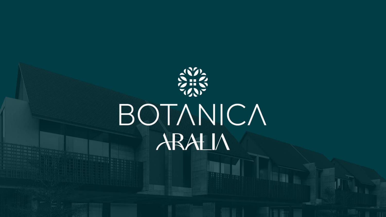 botanica aralia