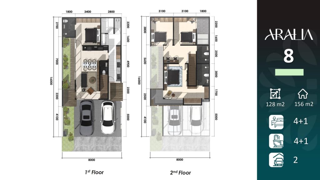 layout aralia 8